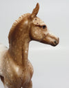 appaloosa