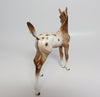 SUGAR BEAR~OOAK CHESTNUT APPALOOSA FOAL MODEL HORSE BY SHERYL LEISURE 9/25/17