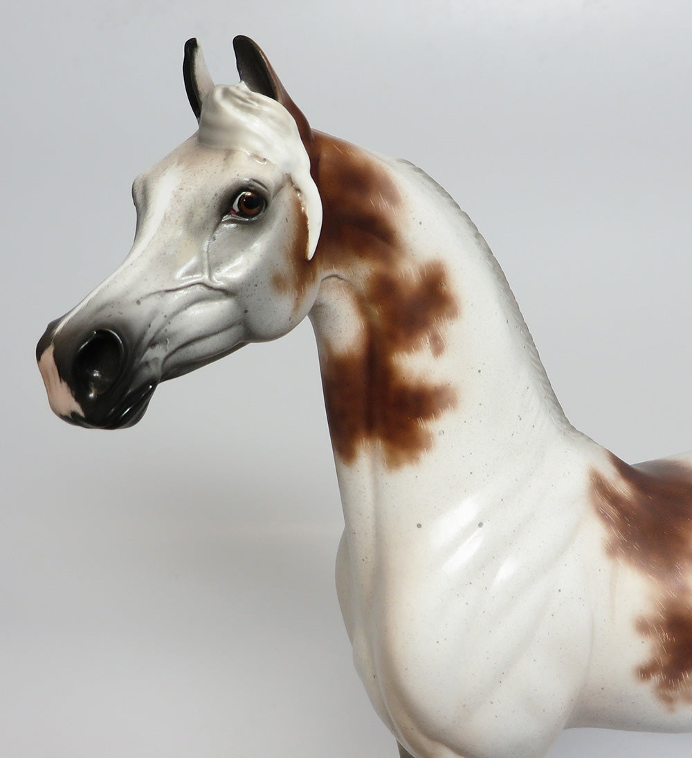 PICADILLO~OOAK BLOODY SHOULDER MODEL HORSE BY SHERYL LEISURE 9/25/17