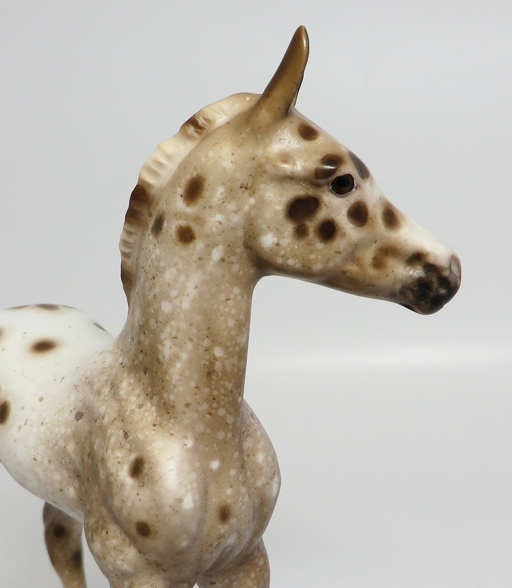 CAROLINA-OOAK CHESTNUT APPALOOSA FOAL MODEL HORSE BY SHERYL LEISURE 9/26/17