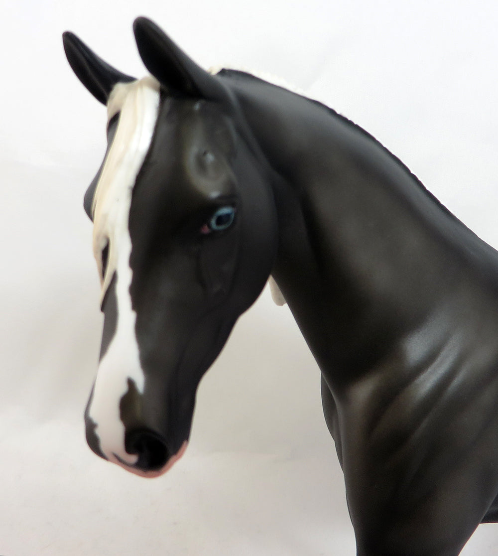 CHECKERS~OOAK DAPPLE BLACK PONY MODEL HORSE 3/31/17