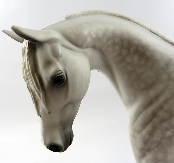 SIDOOAK STAR DAPPLE GREY PONY MODEL HORSE BY SHERYL LEISURE 10/21/16