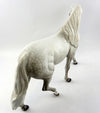 pony