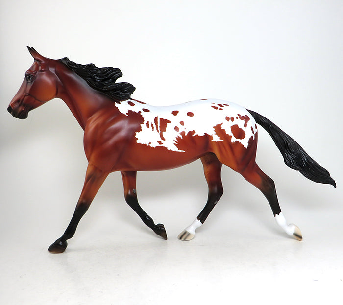 bay appaloosa palouse 