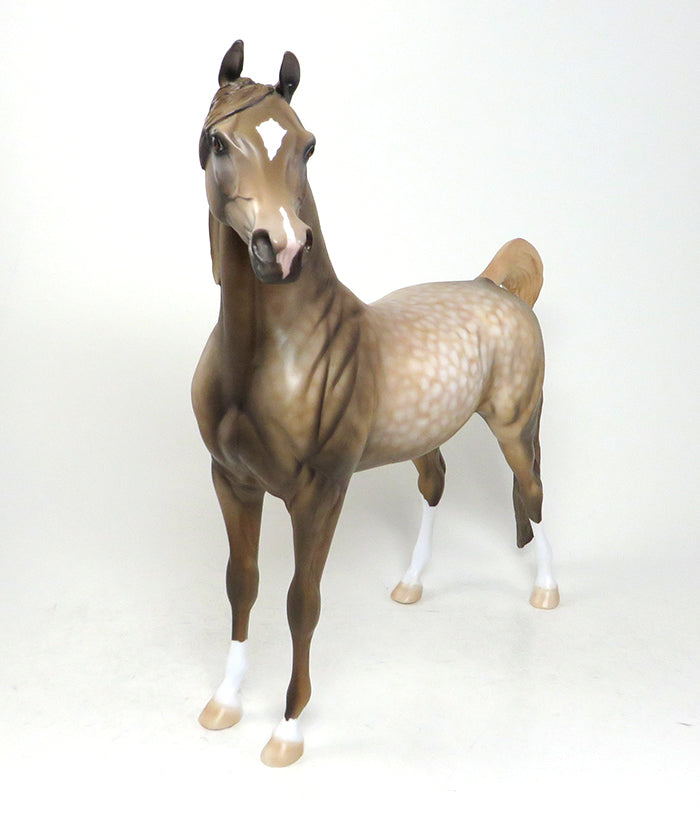 limited edition arabian