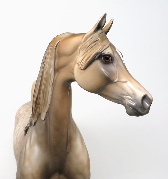 model horse arabian ishara