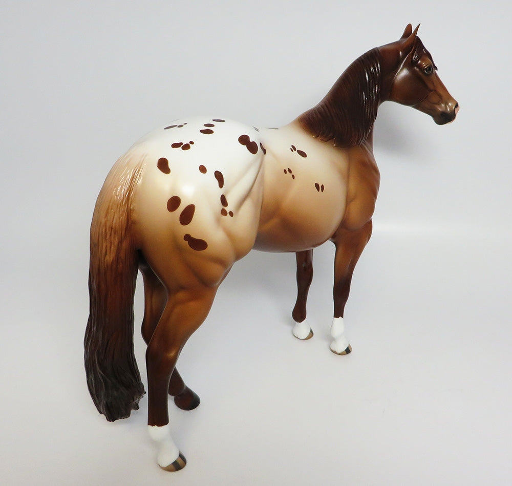 Appaloosa
