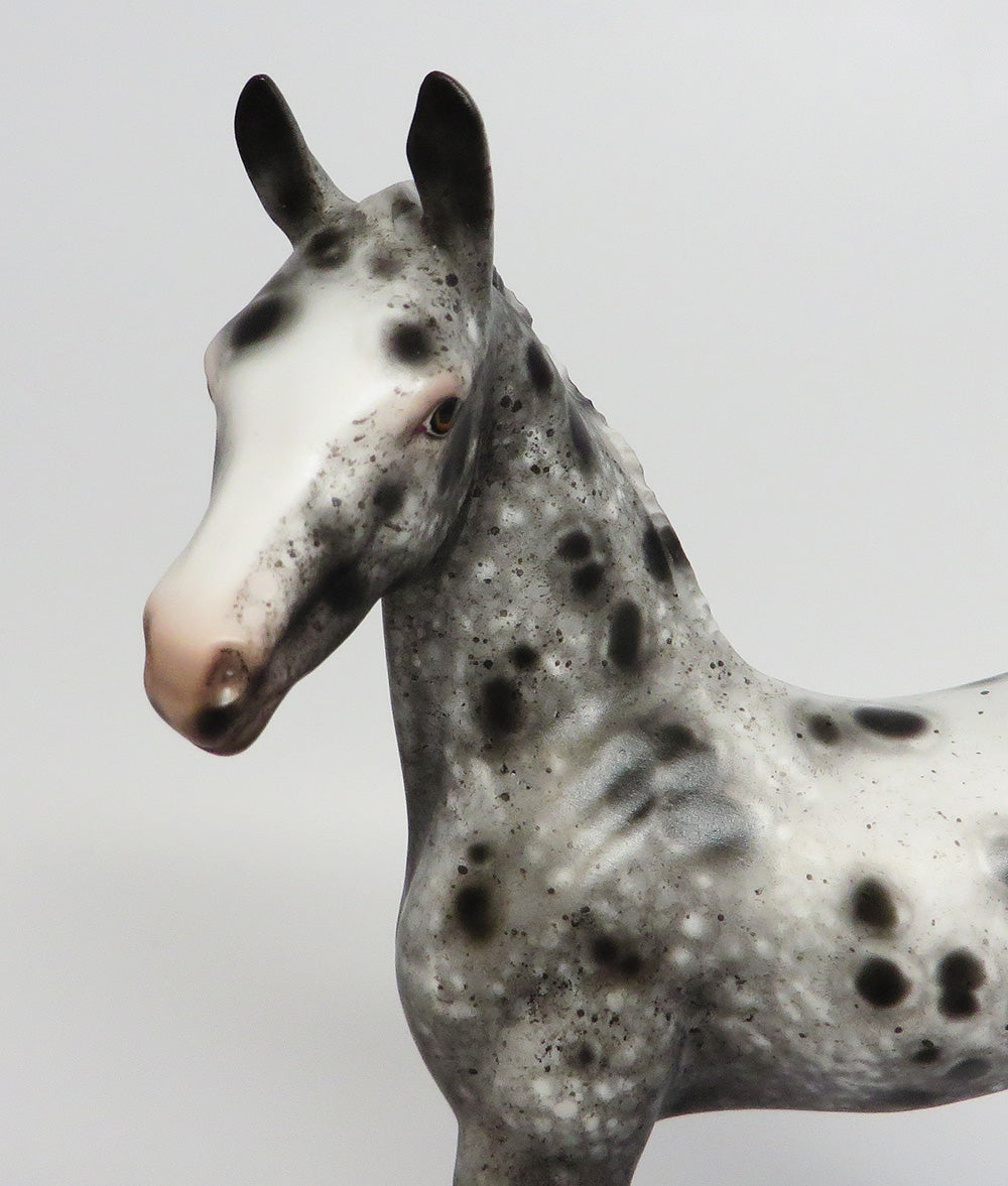 MOHICAN-OOAK LEOPARD ISH FOAL MODEL HORSE BY SHERYL LEISURE 9/26/17