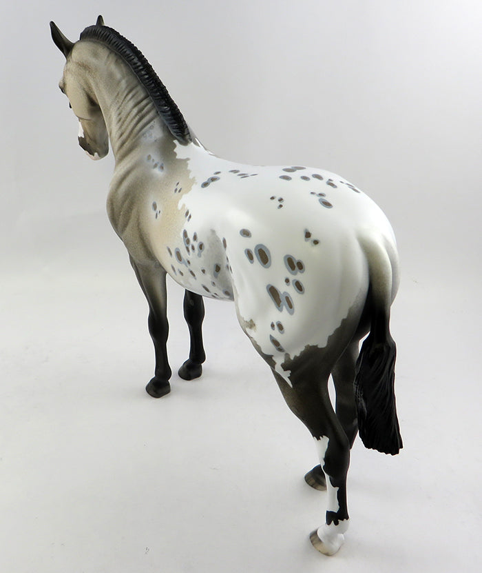 Appaloosa