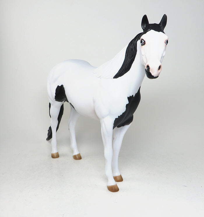 SPOOKALICIOUS-AKA &quot;SPOOK&quot; BLACK AND WHITE PAINT ISH MODEL HORSE  TALENT IN OUR OWN BACKYARD WINNER 5/6