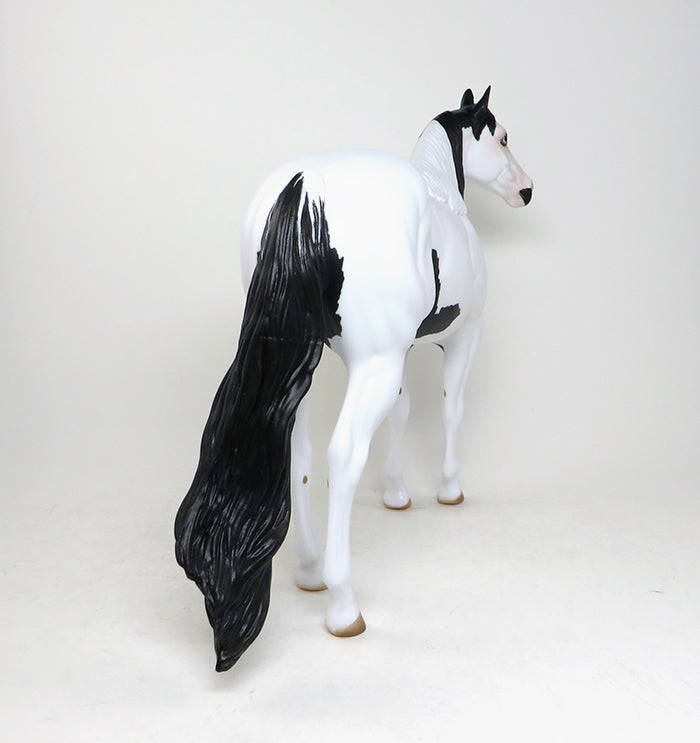 SPOOKALICIOUS-AKA &quot;SPOOK&quot; BLACK AND WHITE PAINT ISH MODEL HORSE  TALENT IN OUR OWN BACKYARD WINNER 5/6