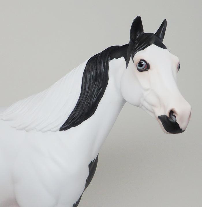 SPOOKALICIOUS-AKA &quot;SPOOK&quot; BLACK AND WHITE PAINT ISH MODEL HORSE  TALENT IN OUR OWN BACKYARD WINNER 5/6