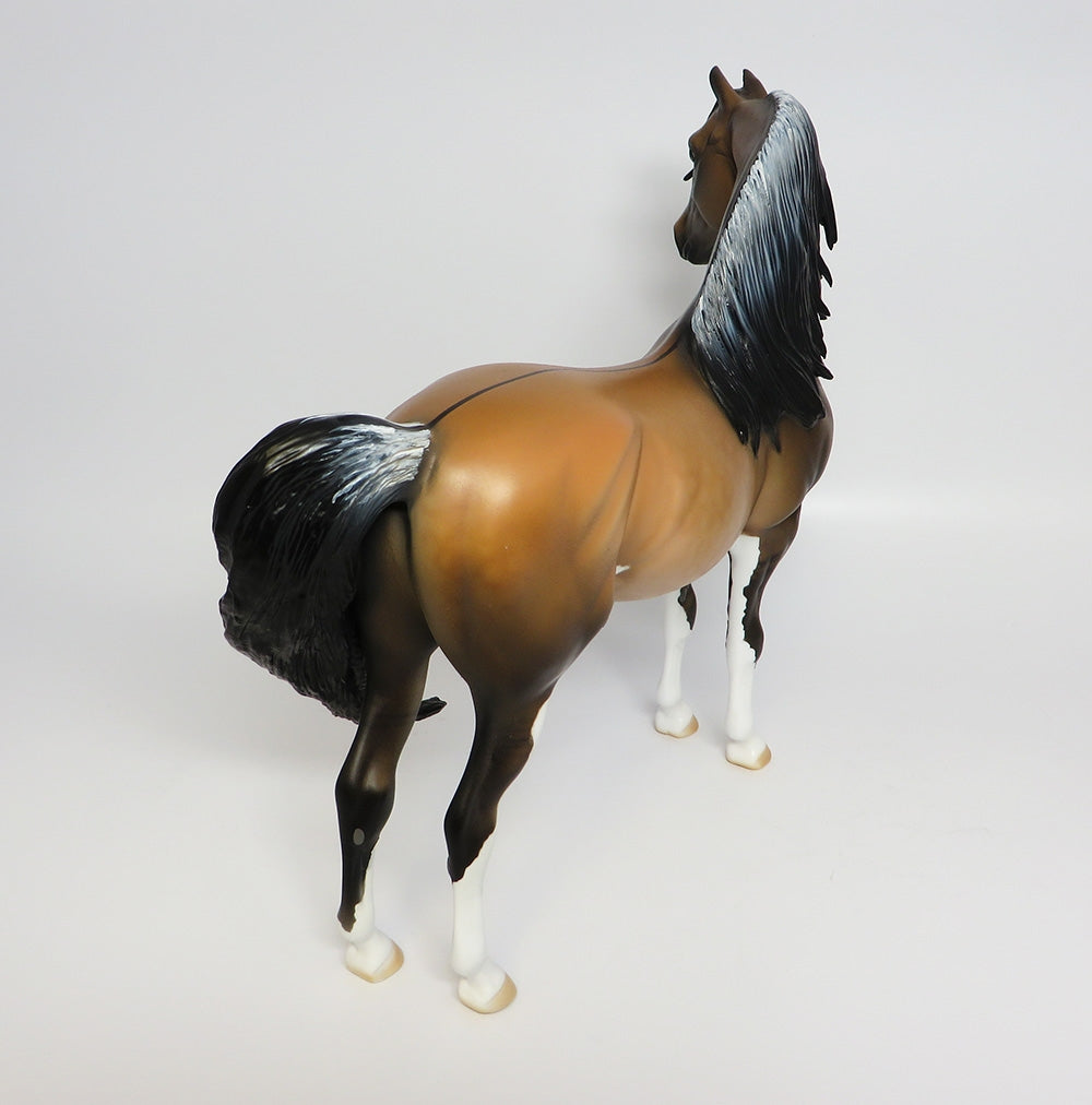 QUARTERBACK SNEAK~OOAK DAPPLE BUCKSKIN MORGAN BY DAWN QUICK 9/26/17