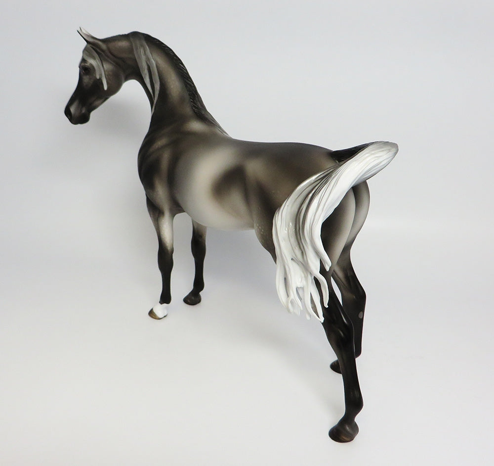 DARSHAN~OOAK DAPPLE GREY ARABIAN MODEL HORSE 9/26/17