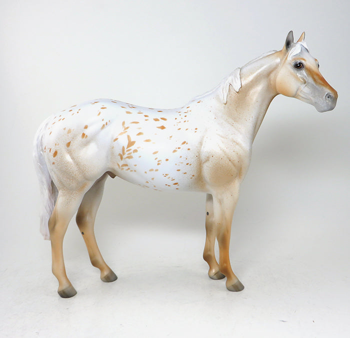 palomino appaloosa cool hand luke
