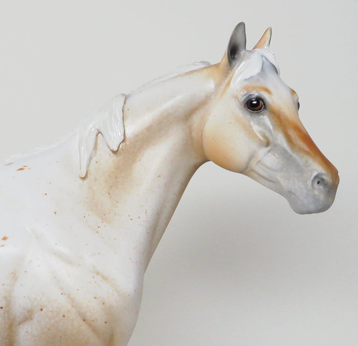 COOL HAND LUKE-LE-4 PALOMINO APPALOOSA ISH MODEL HORSE 5/11