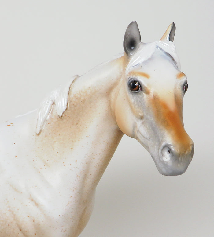 COOL HAND LUKE-LE-4 PALOMINO APPALOOSA ISH MODEL HORSE 5/11