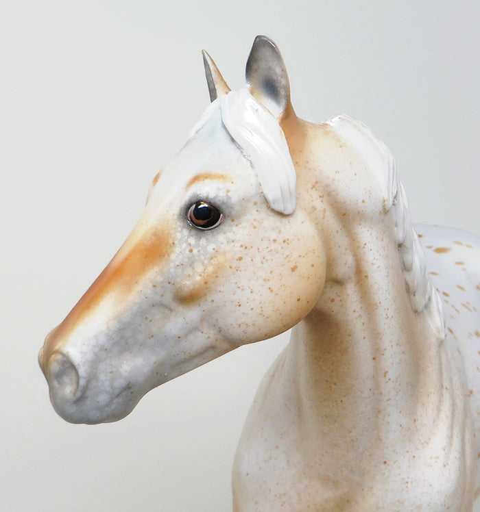 COOL HAND LUKE-LE-4 PALOMINO APPALOOSA ISH MODEL HORSE 5/11