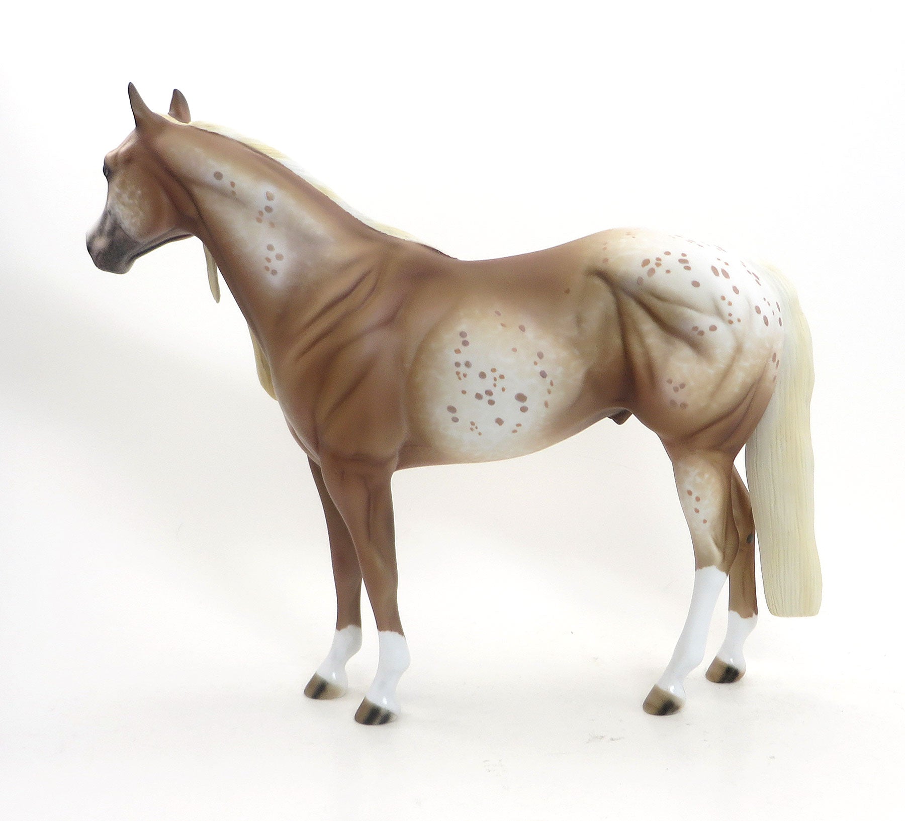 ISLAND TAFFY- OOAK Chestnut Appaloosa Stock Horse 7/31