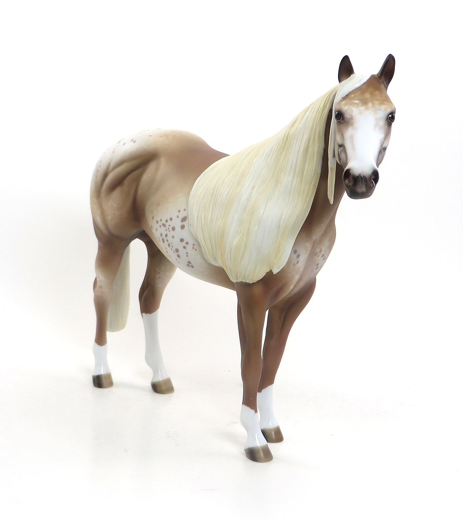 ISLAND TAFFY- OOAK Chestnut Appaloosa Stock Horse 7/31