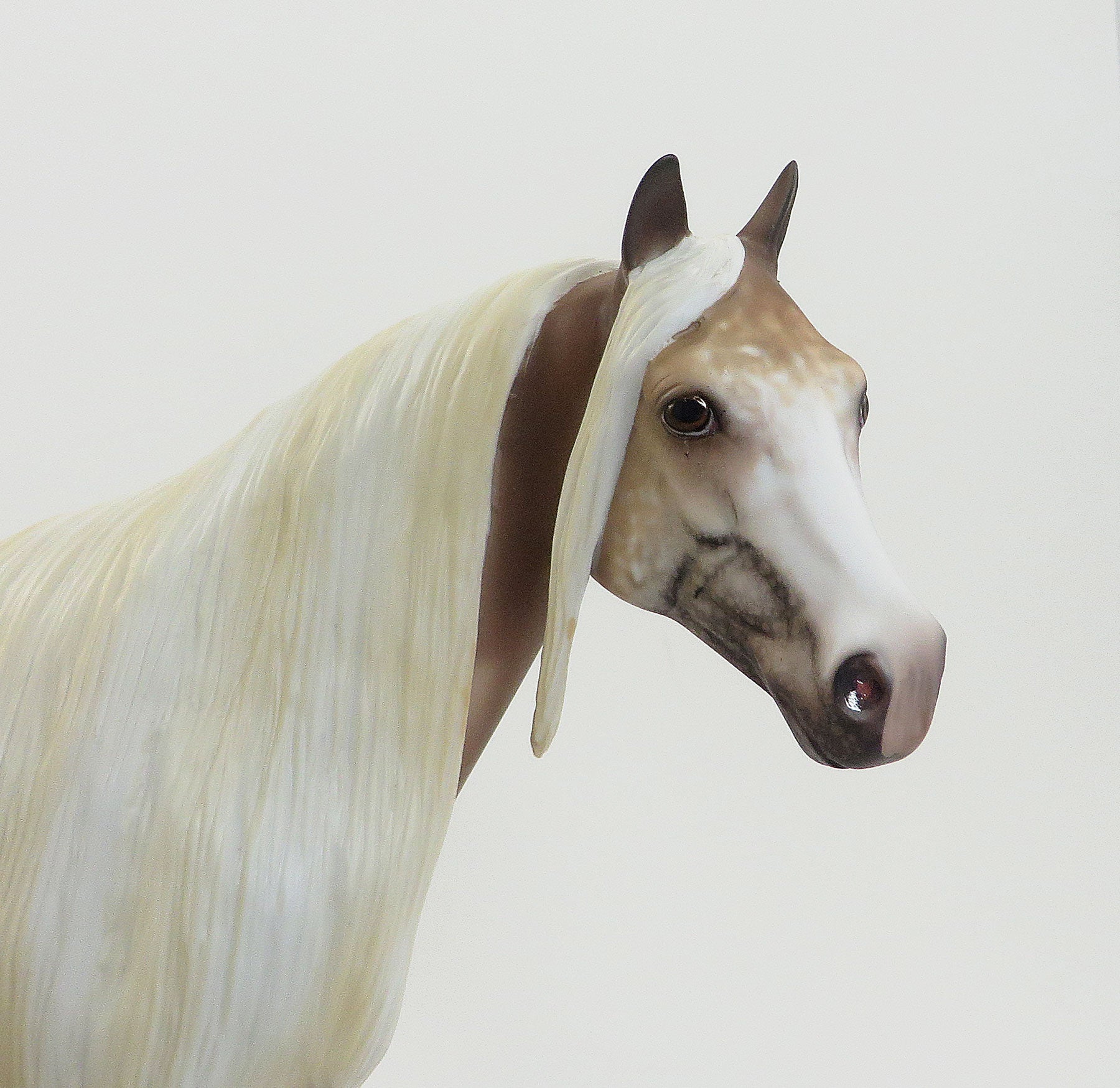 ISLAND TAFFY- OOAK Chestnut Appaloosa Stock Horse 7/31