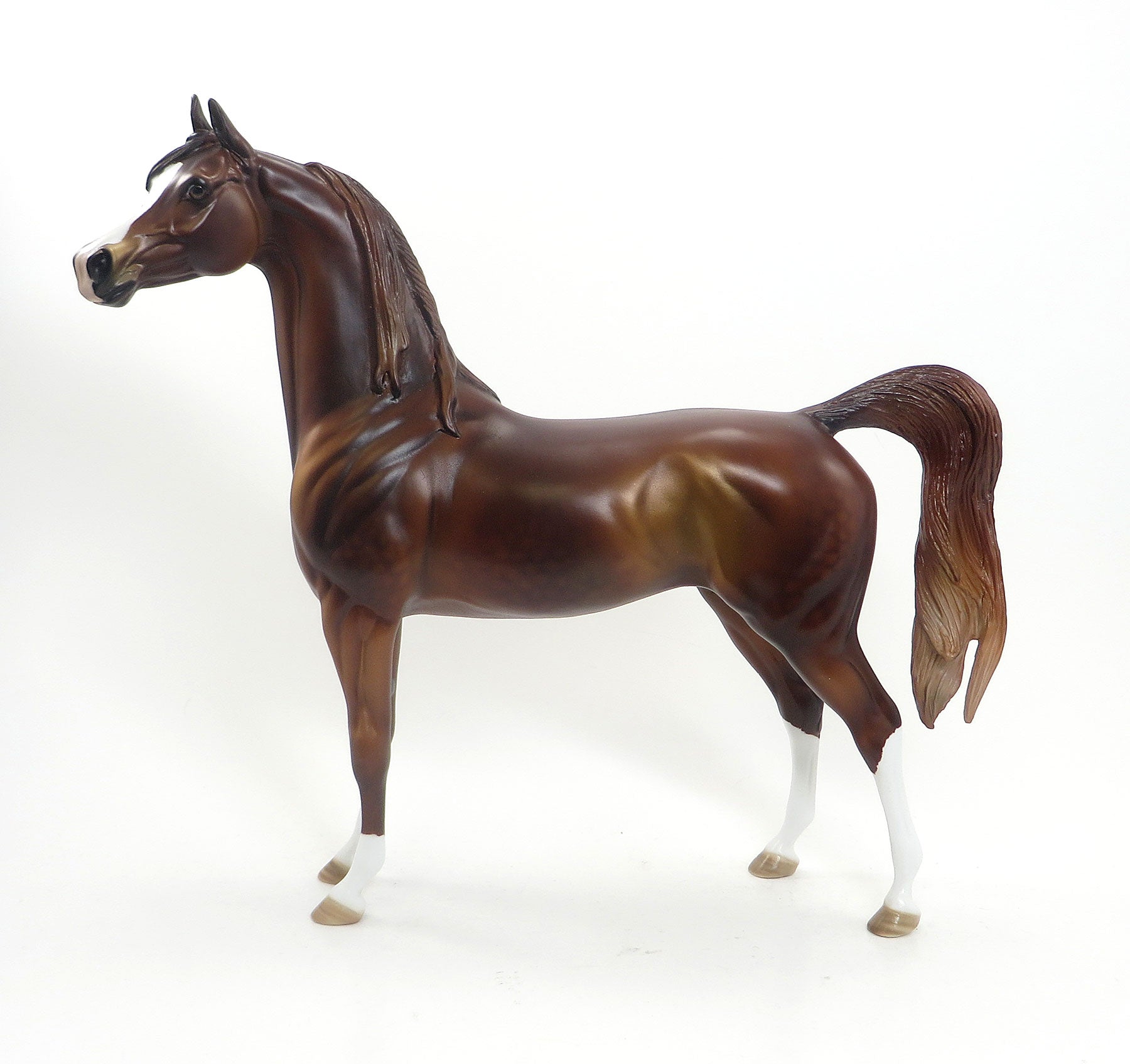 TALLUAH'S FIRE - OOAK Dappled Chestnut Arabian 7/31