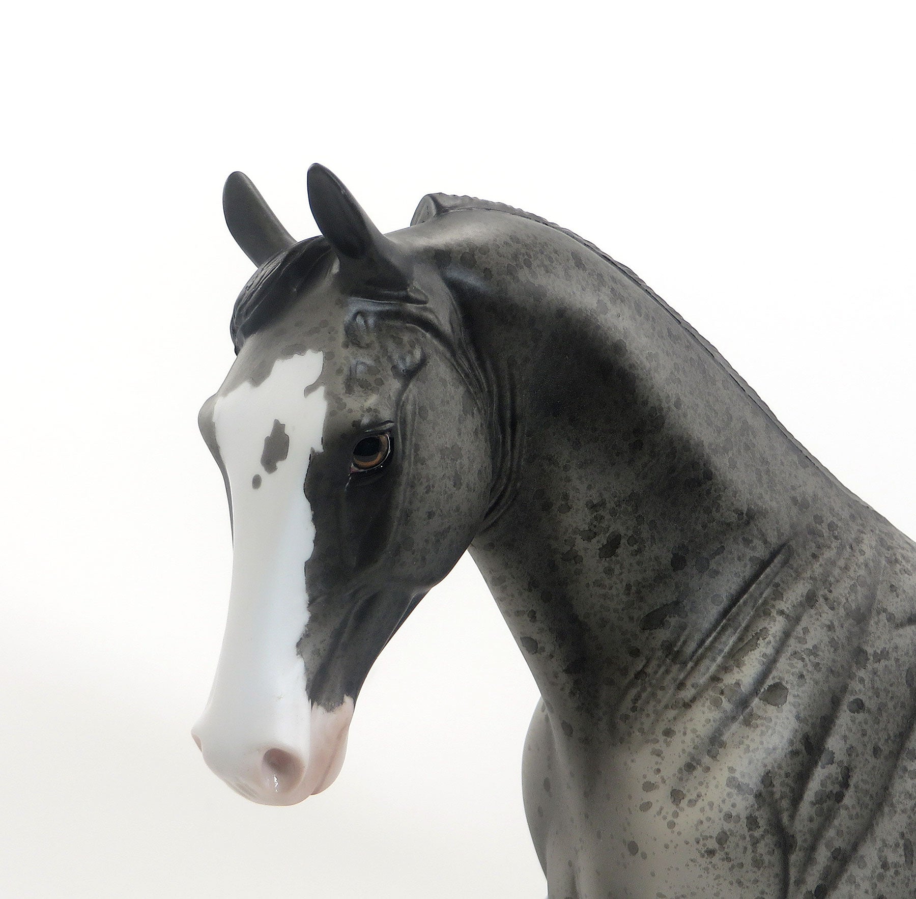 ROAN REMAIN - OOAK Blue Roan Pinto Tennessee Walker Model Horse - 7/31