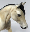 buckskin