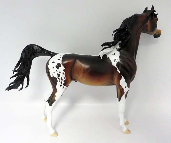 ROMAN-OOAK BAY PINTALOOSA ARABIAN MODEL HORSE BY DAWN QUICK 10/21/16