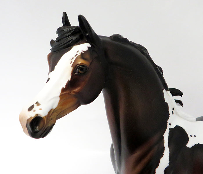 ROMAN-OOAK BAY PINTALOOSA ARABIAN MODEL HORSE BY DAWN QUICK 10/21/16