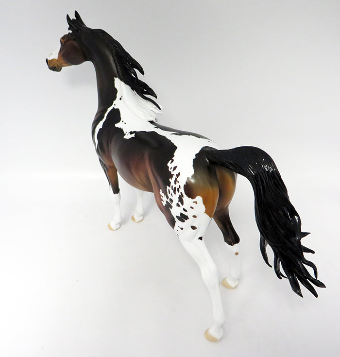 ROMAN-OOAK BAY PINTALOOSA ARABIAN MODEL HORSE BY DAWN QUICK 10/21/16