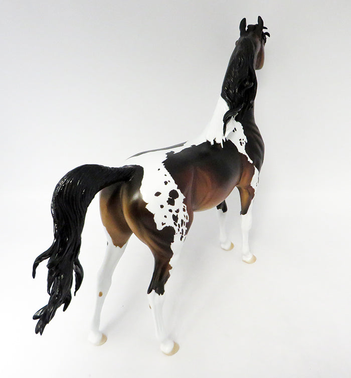 ROMAN-OOAK BAY PINTALOOSA ARABIAN MODEL HORSE BY DAWN QUICK 10/21/16