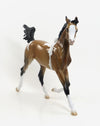 REBEL&#39;S GEM- OOAK Buckskin Pinto Yearling 7/31