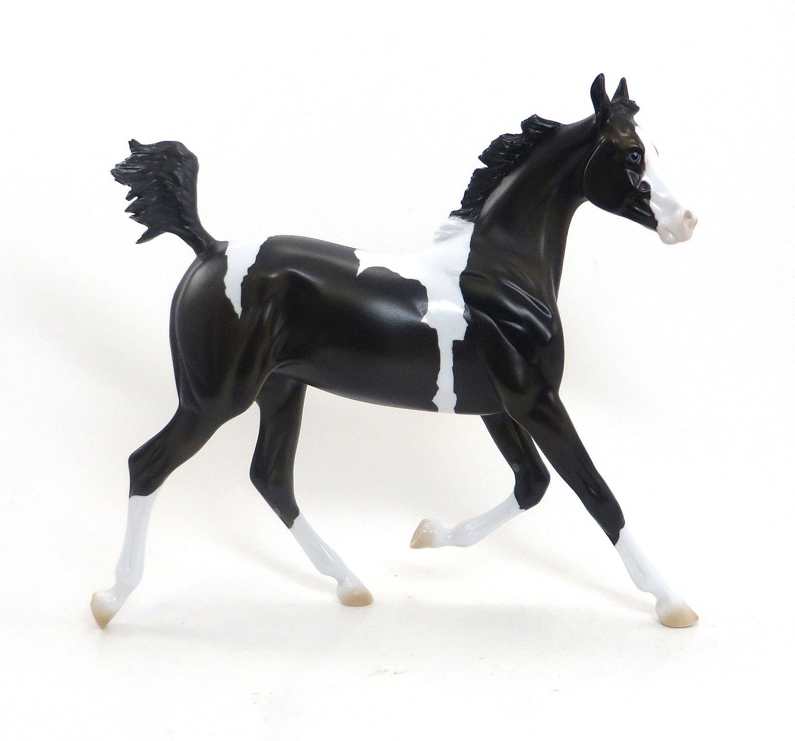 TOUGH CHANCE- OOAK Black Pinto Yearling 8/7