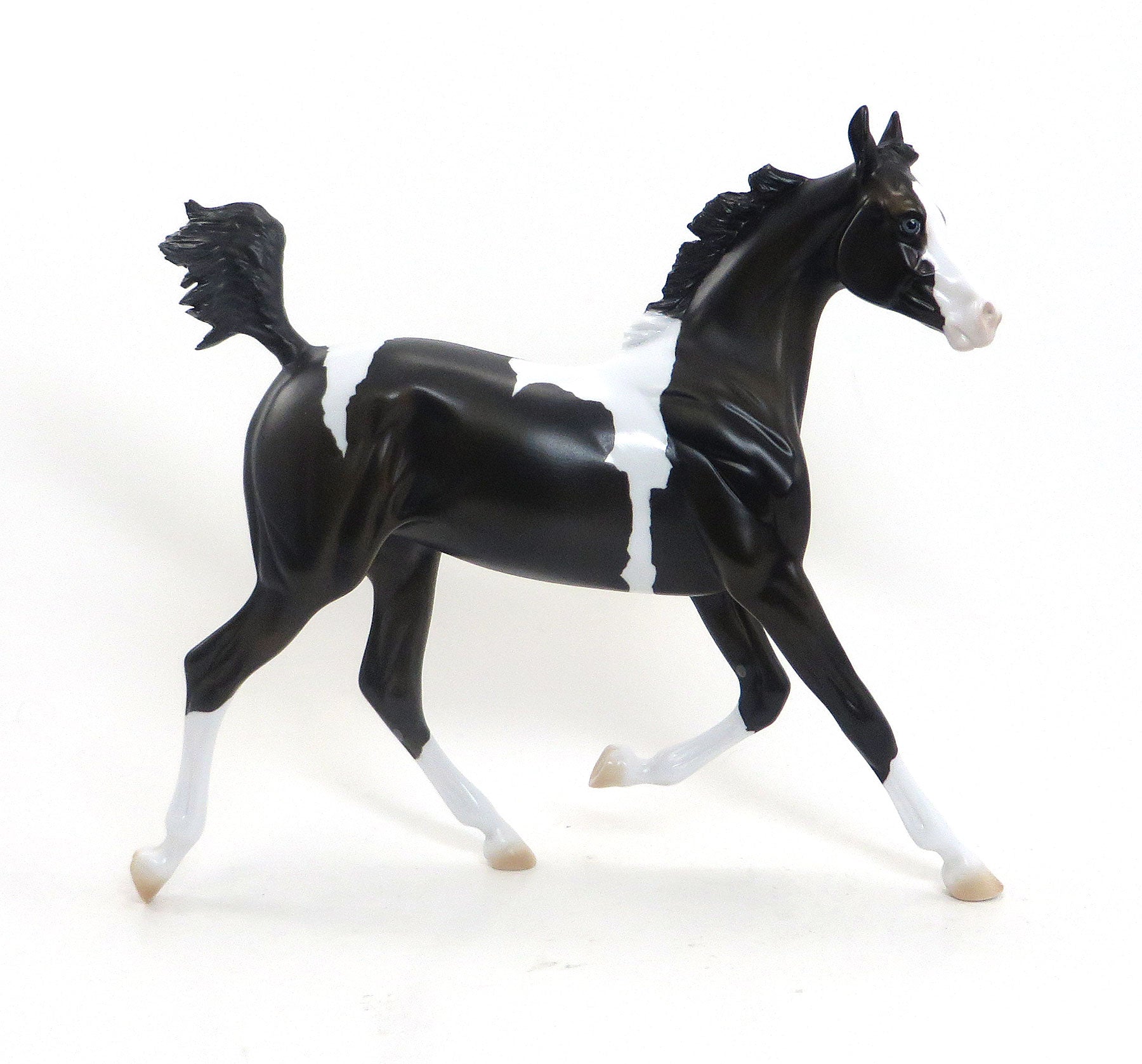 TOUGH CHANCE- OOAK Black Pinto Yearling 8/7