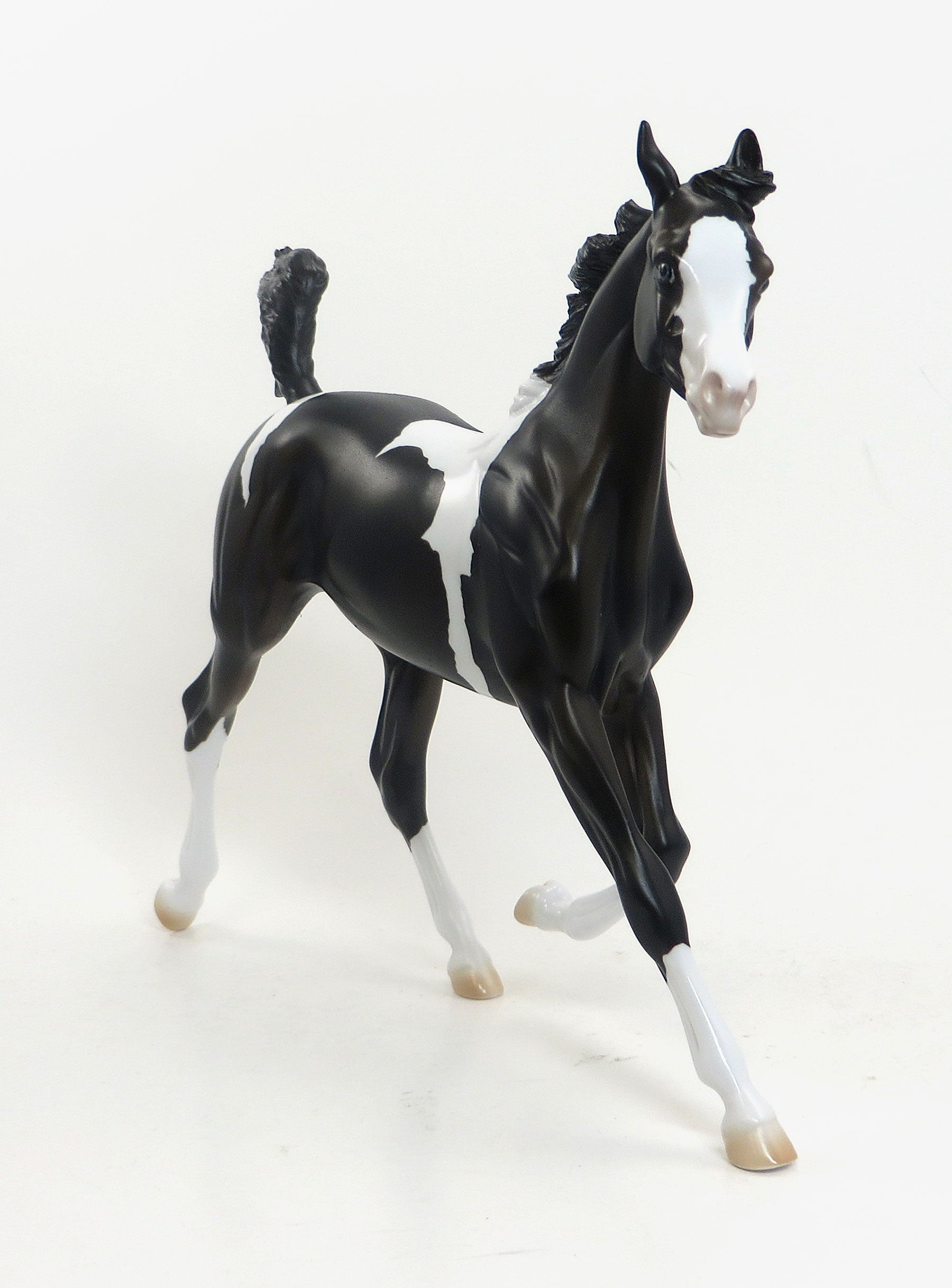TOUGH CHANCE- OOAK Black Pinto Yearling 8/7