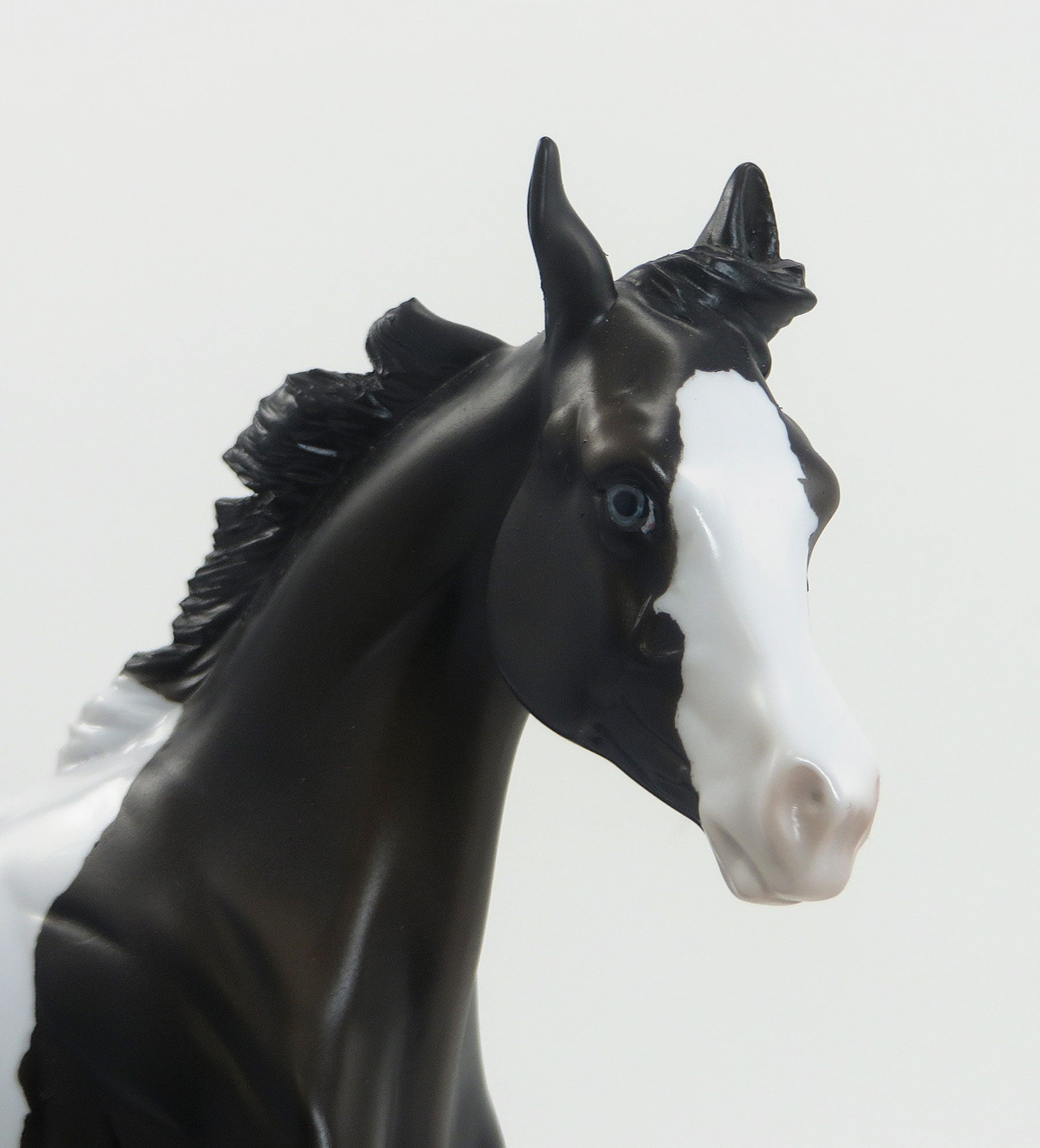 TOUGH CHANCE- OOAK Black Pinto Yearling 8/7