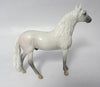 Andalusian