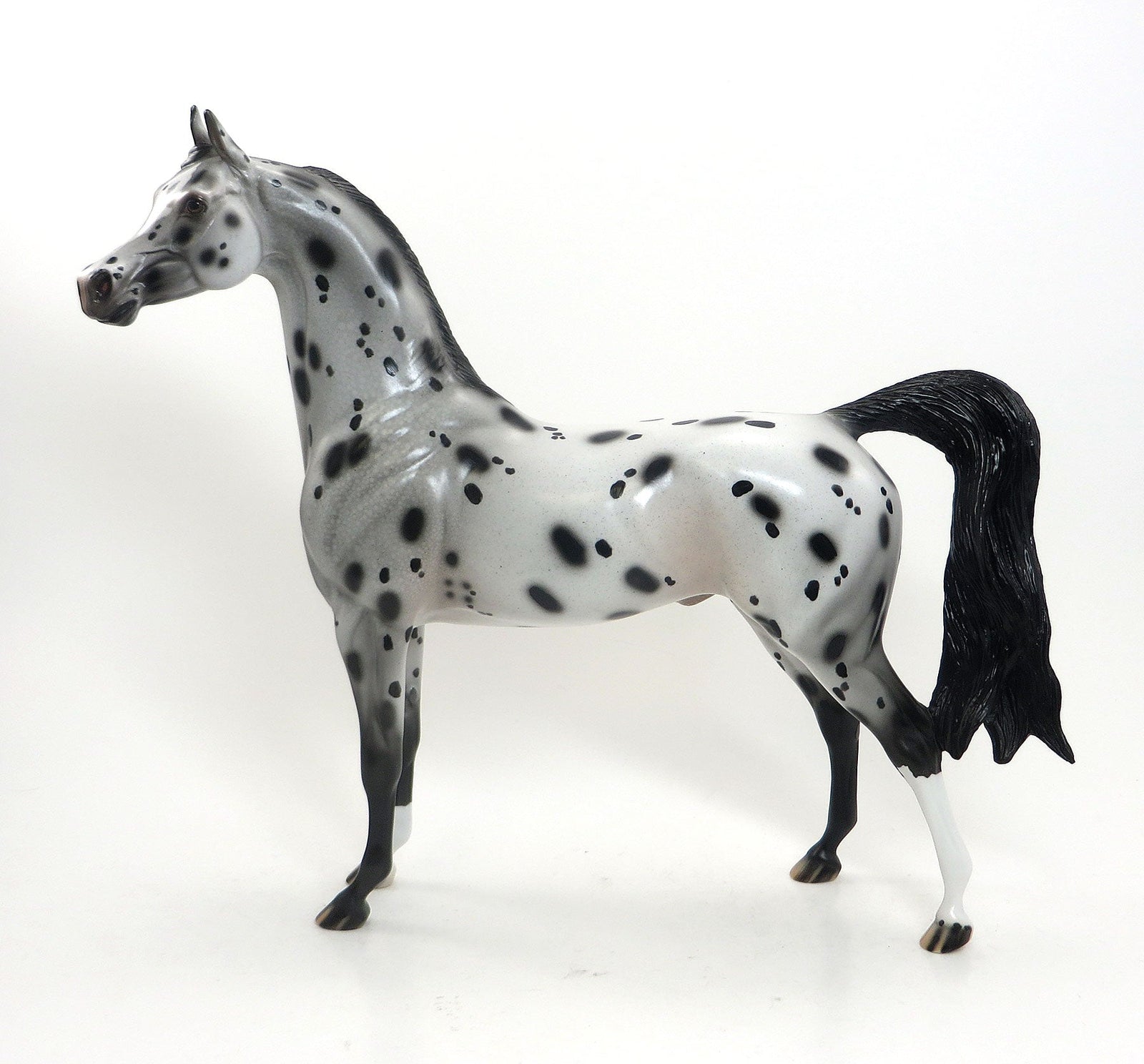 HAPPY SPOTS - OOAK Leopard Appaloosa Arabian 7/31