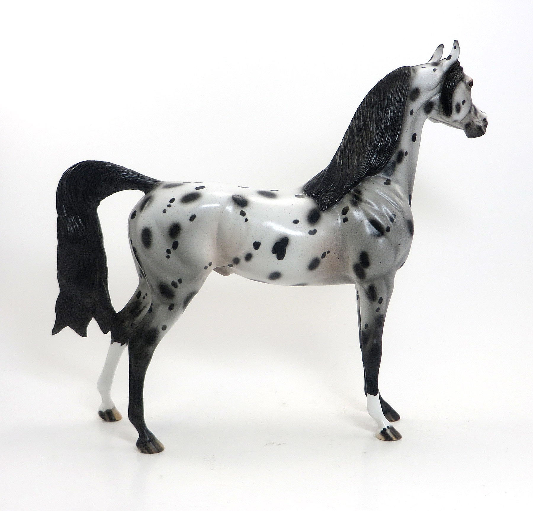 HAPPY SPOTS - OOAK Leopard Appaloosa Arabian 7/31