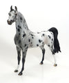 HAPPY SPOTS - OOAK Leopard Appaloosa Arabian 7/31