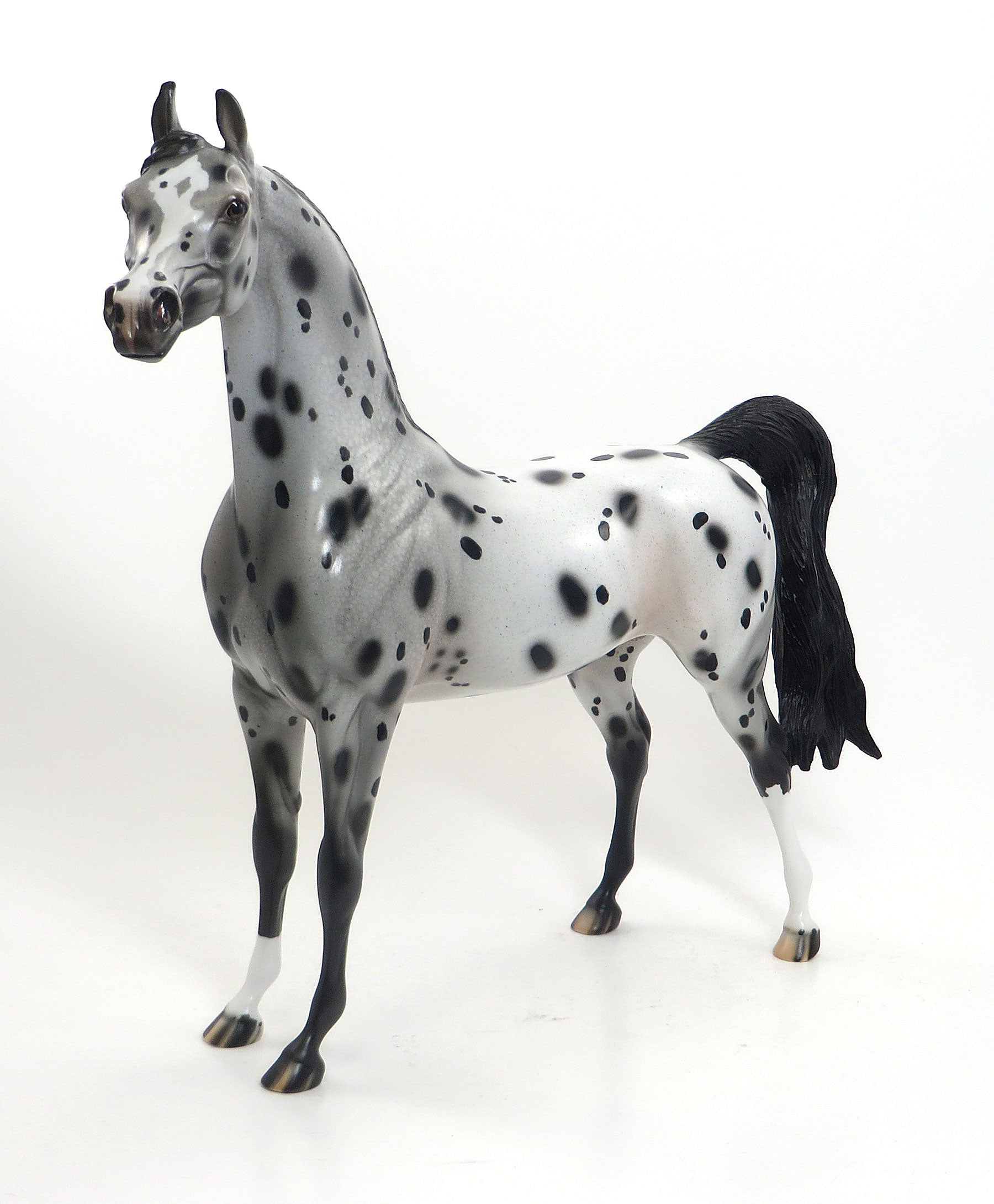 HAPPY SPOTS - OOAK Leopard Appaloosa Arabian 7/31