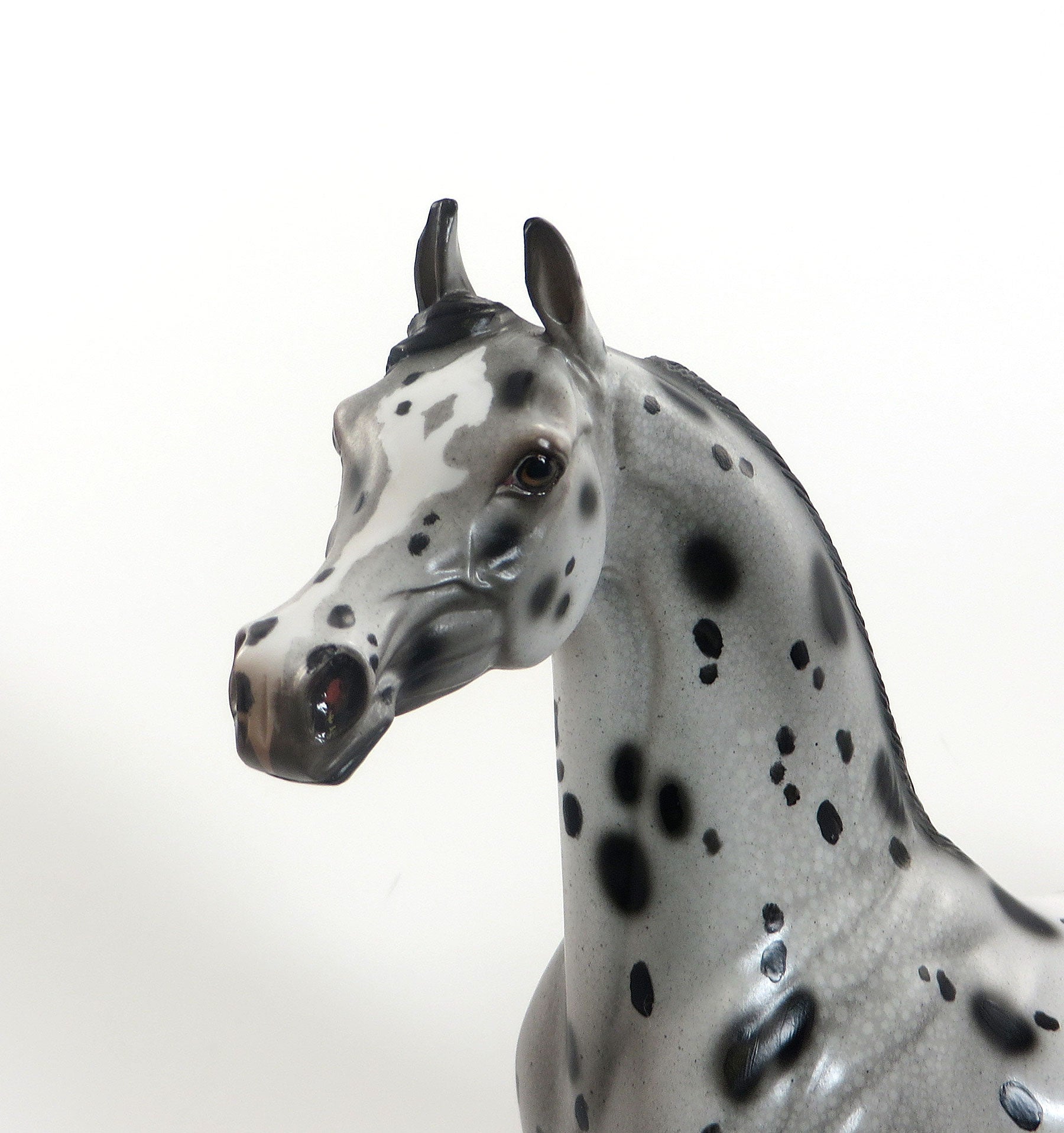 HAPPY SPOTS - OOAK Leopard Appaloosa Arabian 7/31