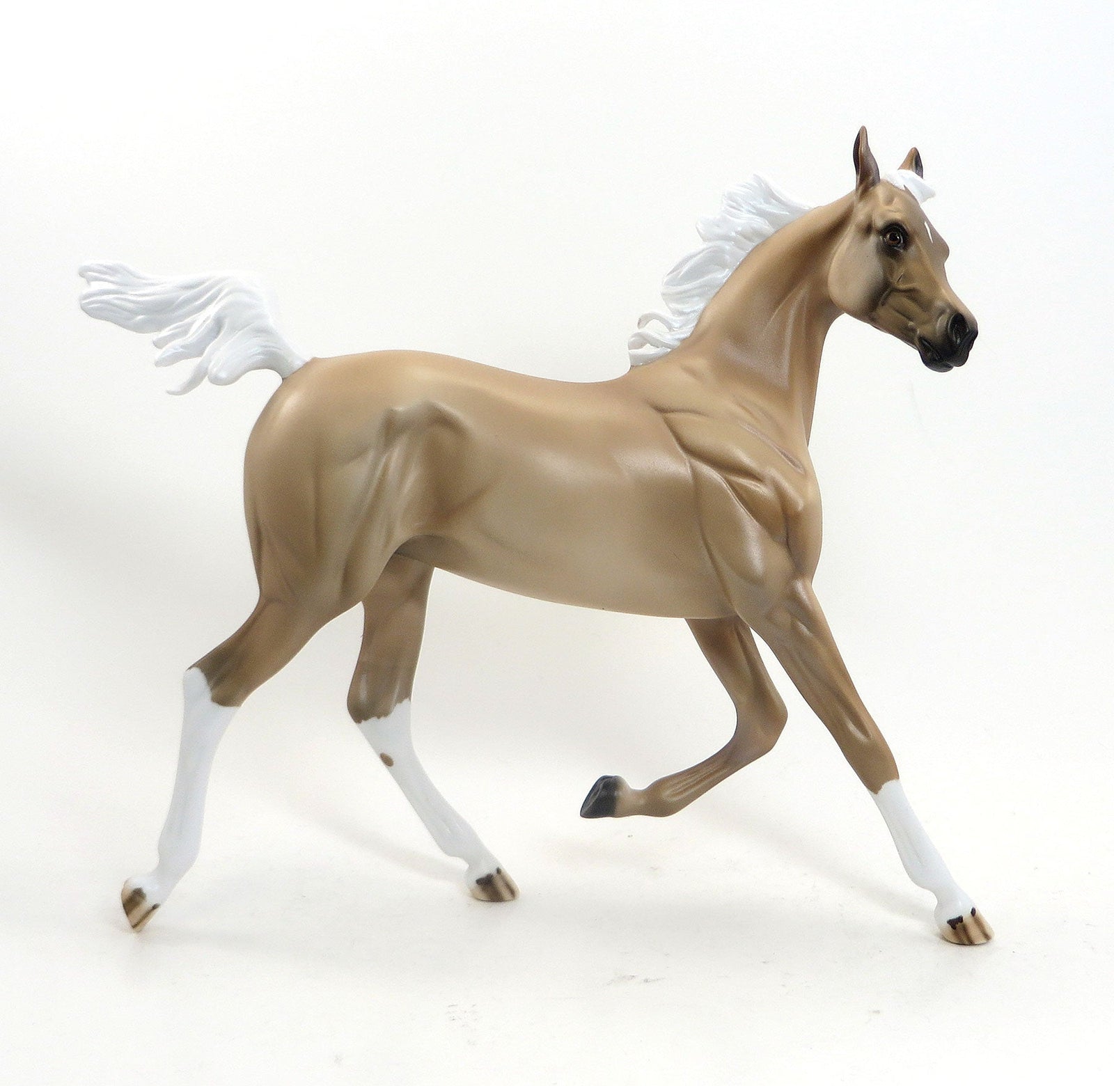 SUMMERS SUN FLOWER- LE3 Palomino Yearling 7/31