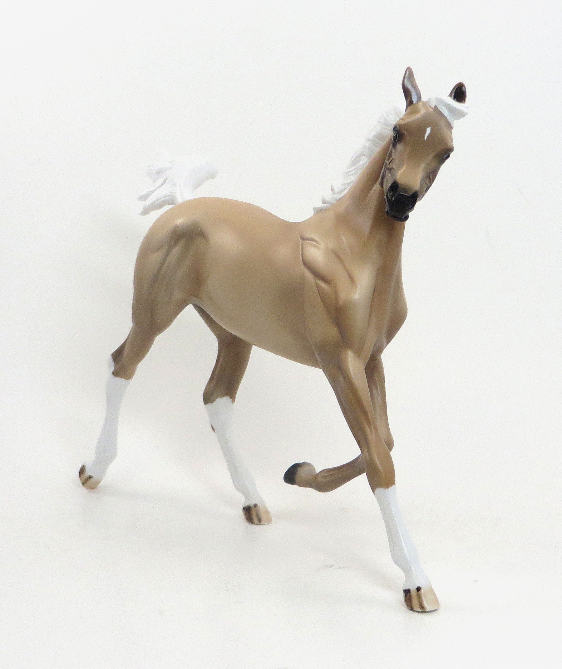 SUMMERS SUN FLOWER- LE3 Palomino Yearling 7/31