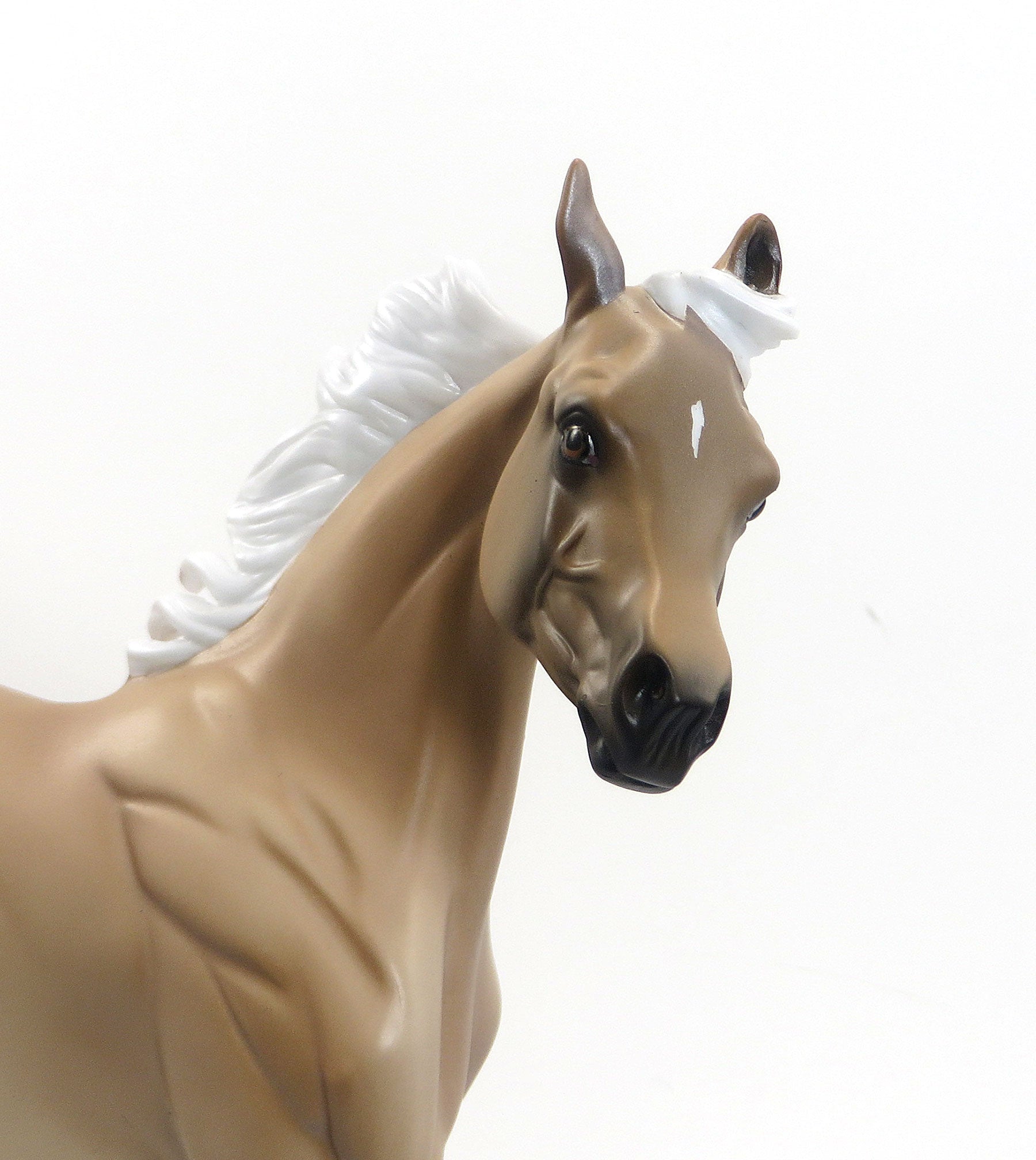 SUMMERS SUN FLOWER- LE3 Palomino Yearling 7/31