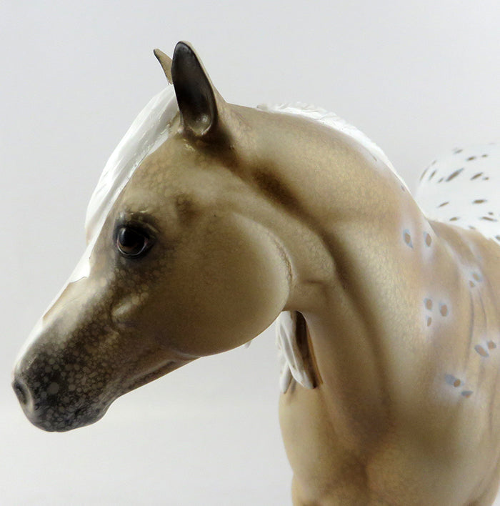 palomino