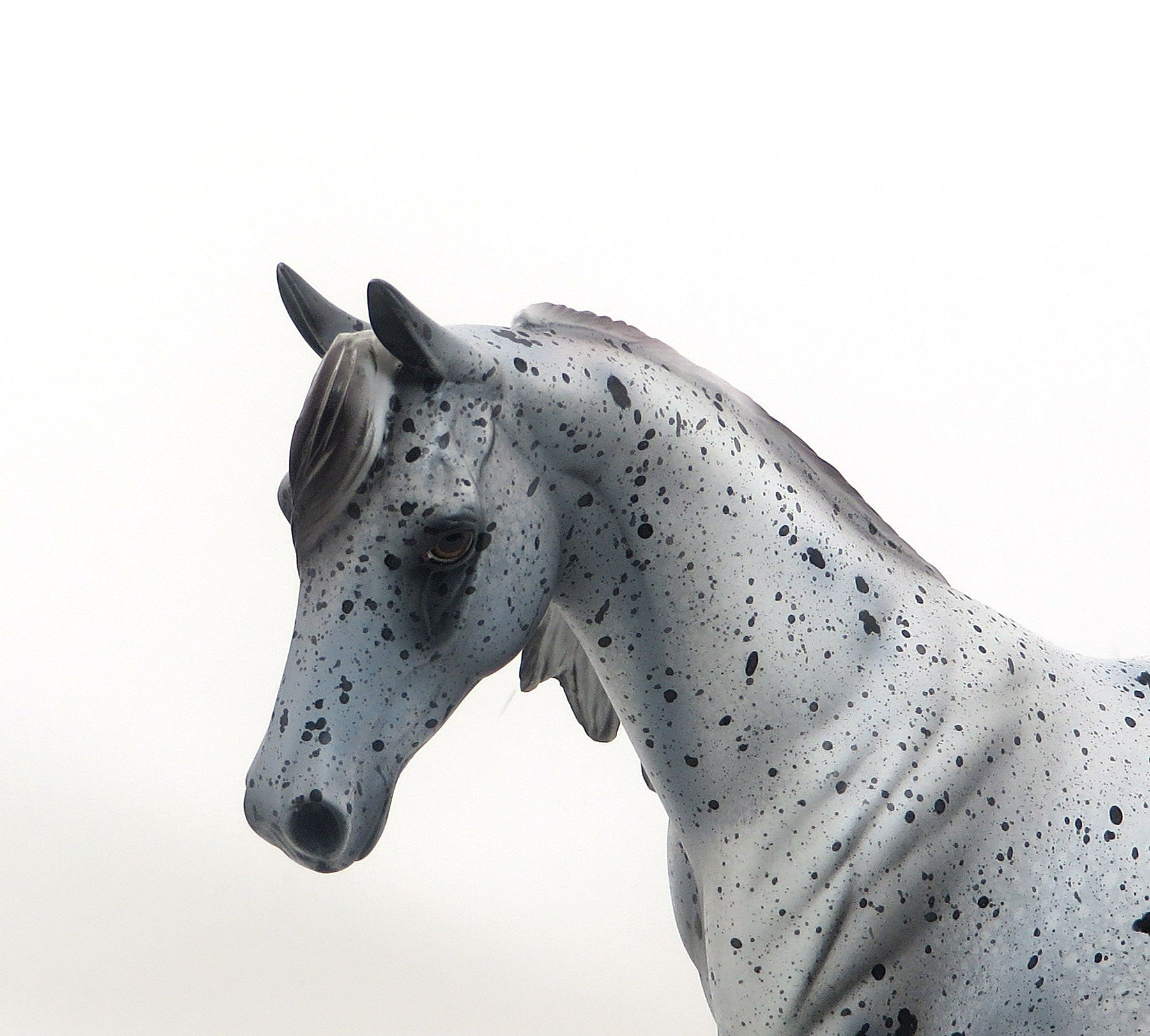 HEAVEN SENT - OOAK Grey Appaloosa Pony 7/31