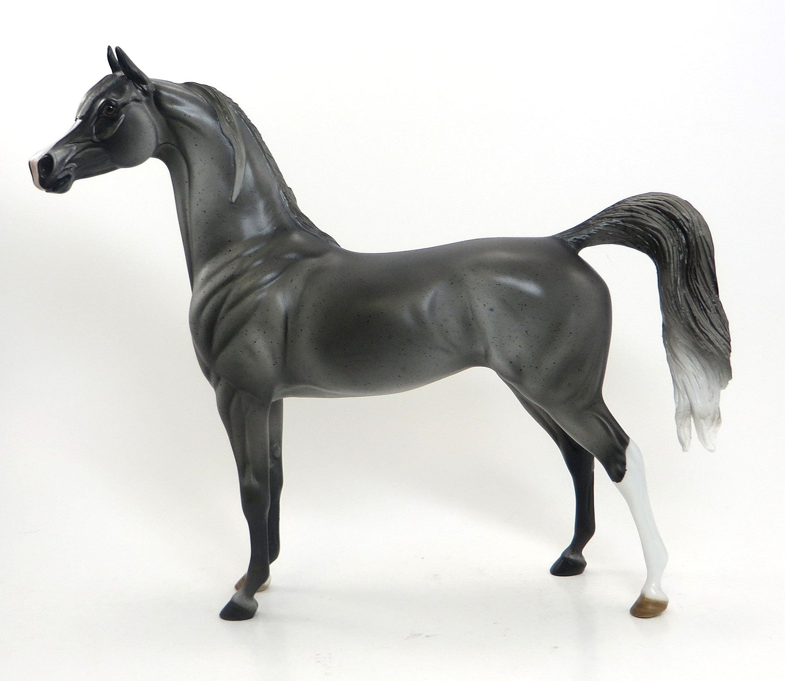 PLAYTIME LOTTA - OOAK Blue Roan Arabian 7/31