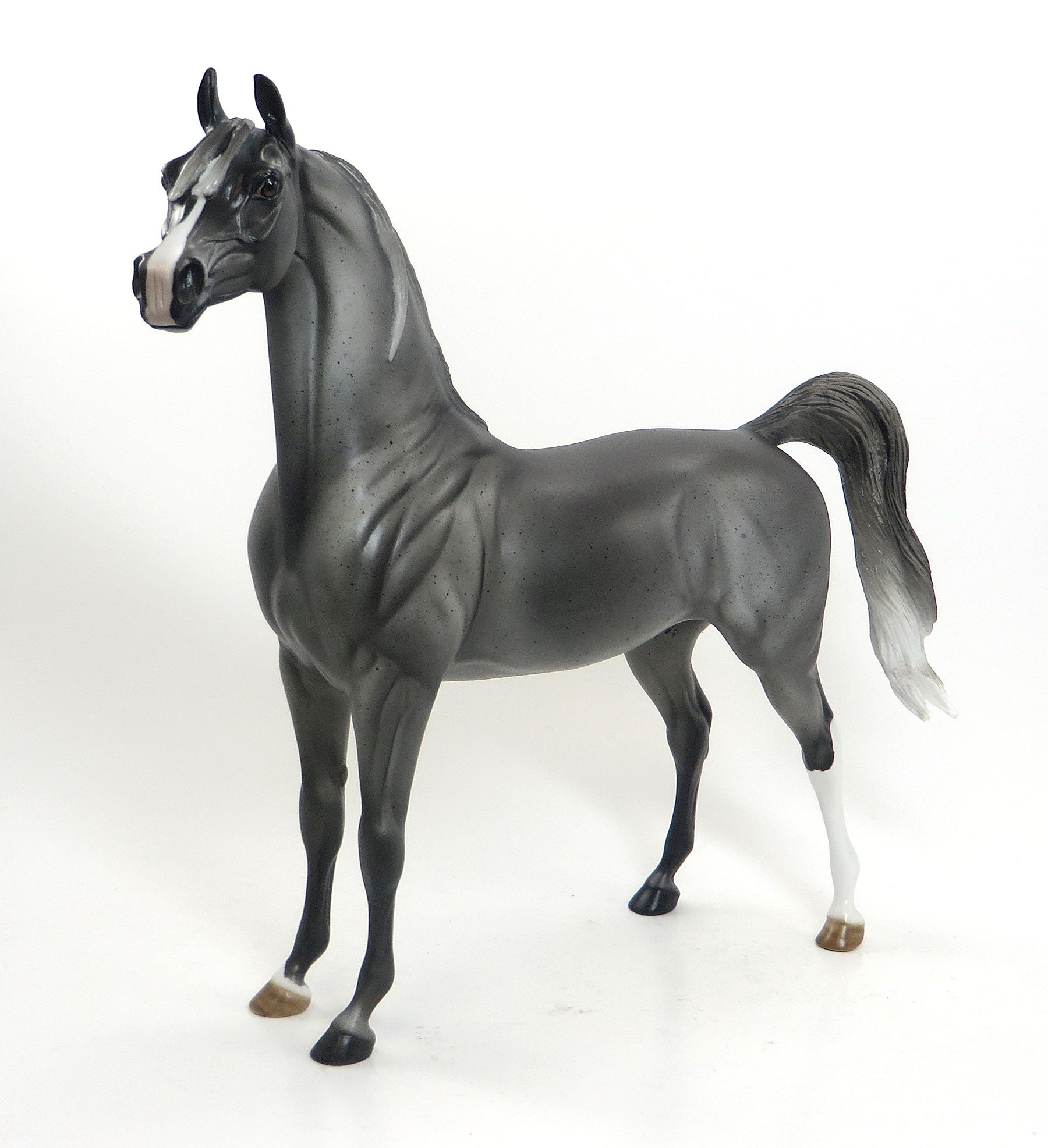 PLAYTIME LOTTA - OOAK Blue Roan Arabian 7/31